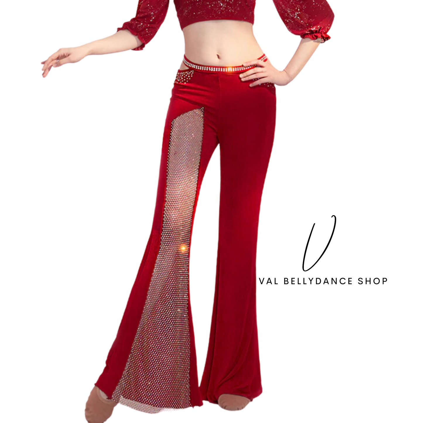 Victoria Mesh and Crytal Bellydance Practice Pants