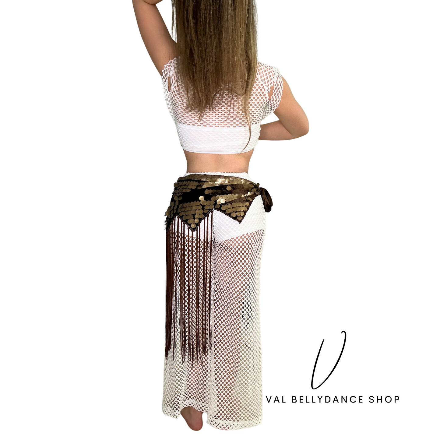 Long Tassles and Coins Brown Bellydance Hip Scarf