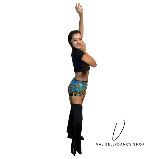 Coins and Tassels Bellydance Hip Scarf