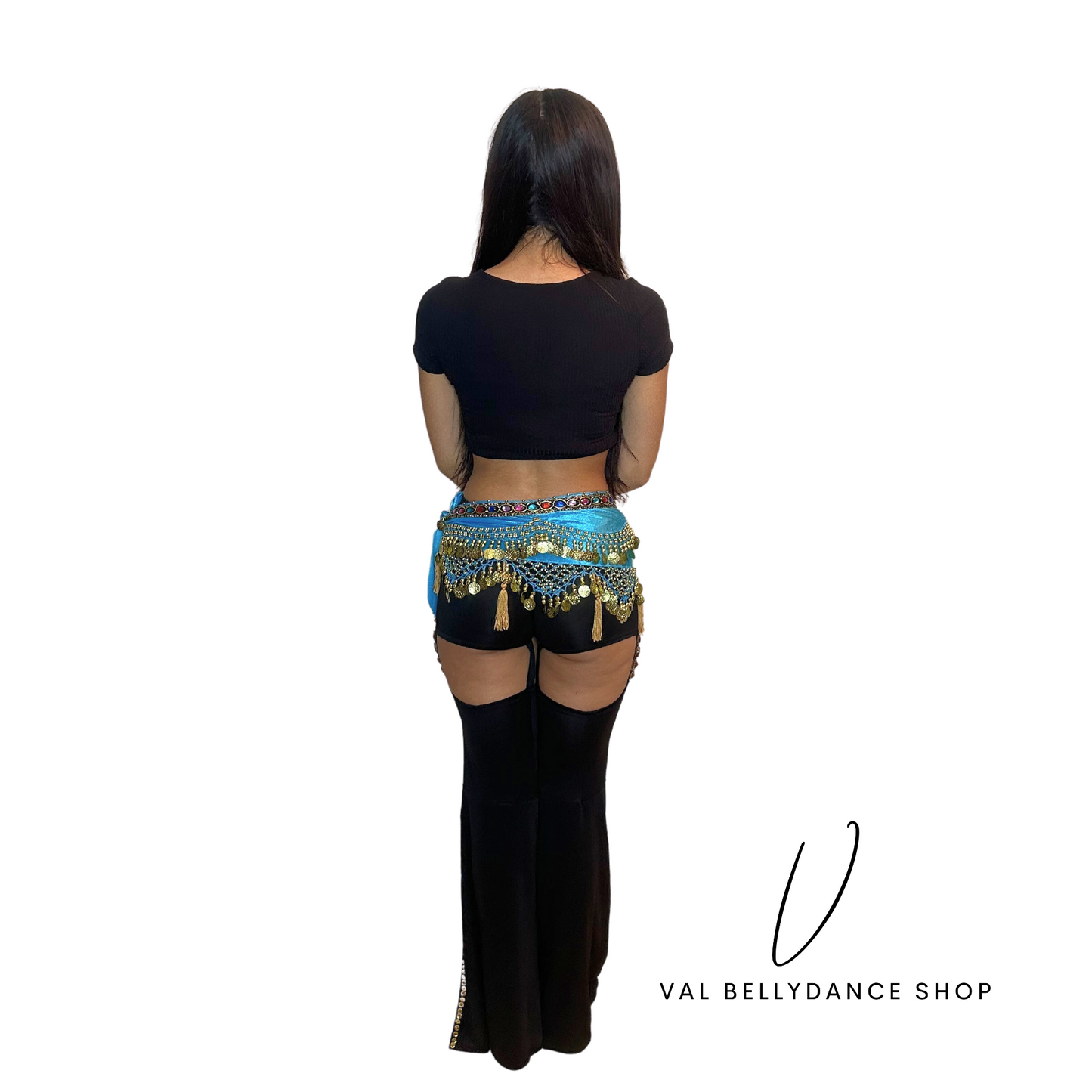 Coins and Tassels Bellydance Hip Scarf