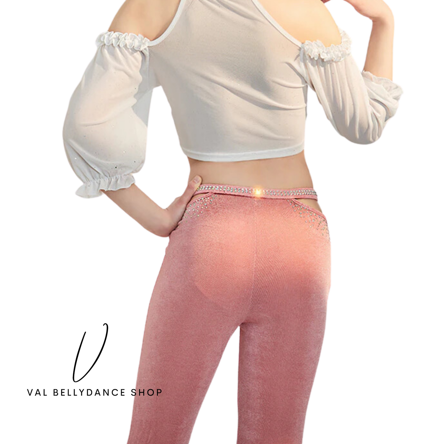 Victoria Mesh and Crytal Bellydance Practice Pants
